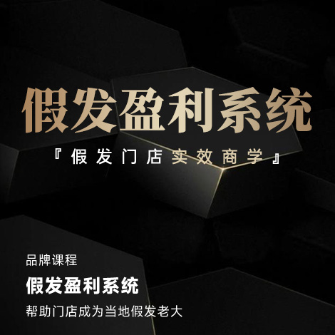 假发盈利系统
